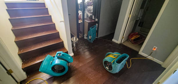 Best Water damage restoration specialists  in Camden, AR