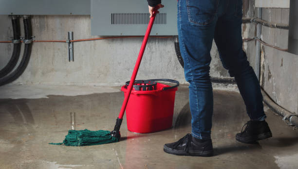 Best Water damage contractors near me  in Camden, AR